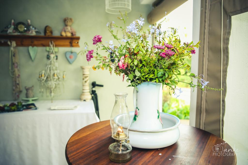 Oue Werf Country House Oudtshoorn Dış mekan fotoğraf