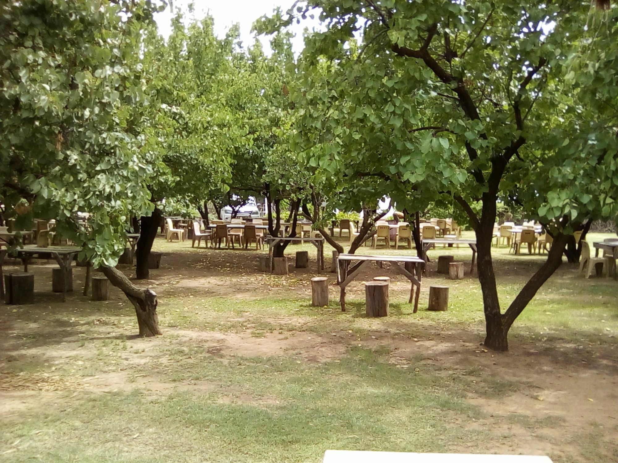 Oue Werf Country House Oudtshoorn Dış mekan fotoğraf